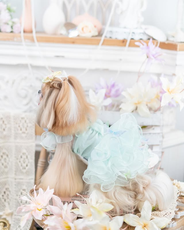 Jane's Pet Boutique Diamond Butterfly Luxury Dog Dress - view 3