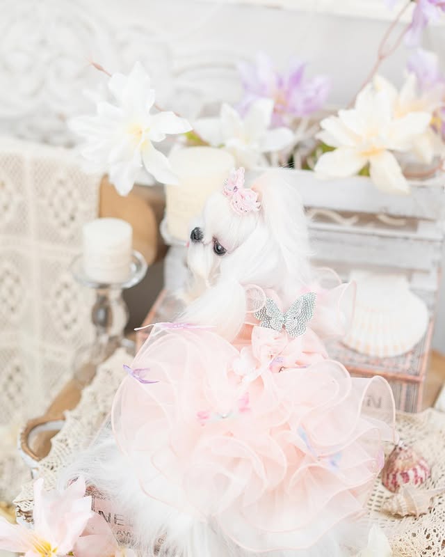 Jane's Pet Boutique Diamond Butterfly Luxury Dog Dress - view 4