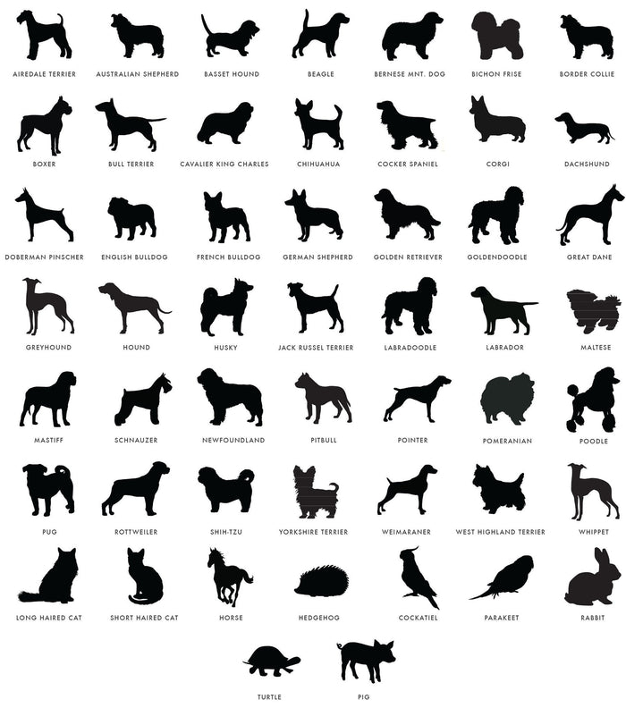 Moon and Lola - Pet Symbol Guide