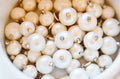Moon and Lola Cotton Pearl Charms