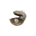 Silver Oyster with Pearl Ornament 3.25" - bubblegum market
