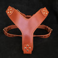 Bestia Dog Gear Style Leather Dog Harness in Brown