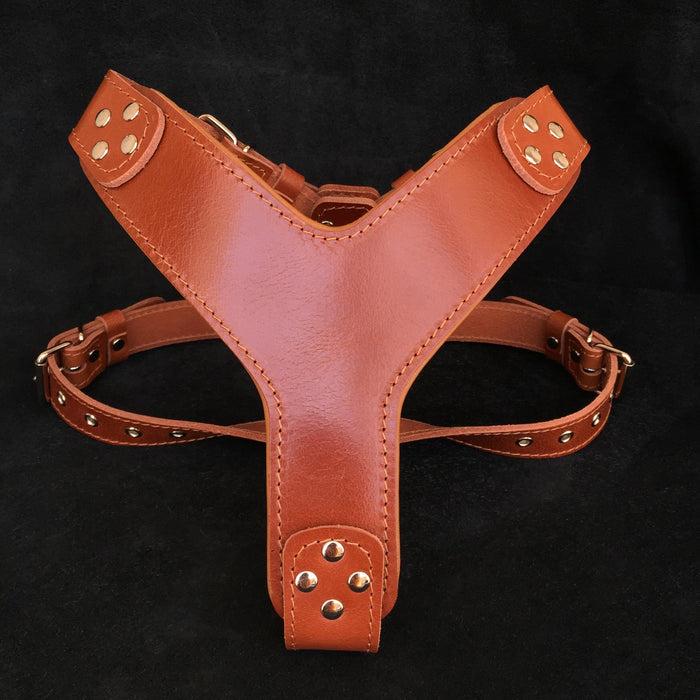Bestia Dog Gear Style Leather Dog Harness in Brown