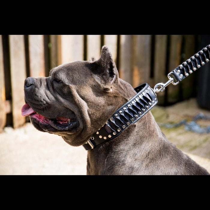 Bestia Dog Gear The 'Steampunk' Handcrafted Leather Dog Collar - view 2