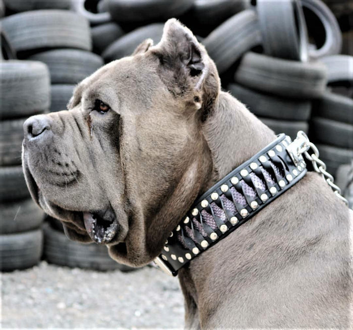 Bestia Dog Gear The 'Steampunk' Handcrafted Leather Dog Collar - view 5