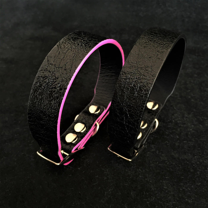 Bestia Dog Gear The 'Taurus' Puppy Collar