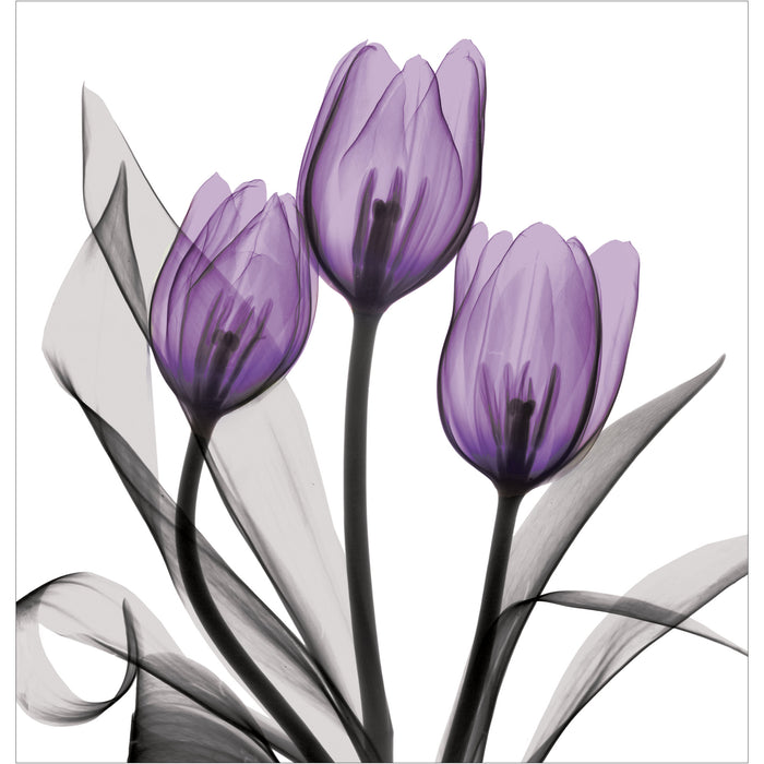 X-Ray Violet Flowers Shower Curtain